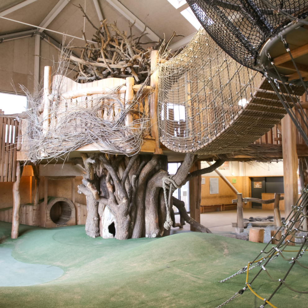 indoor adventure play den