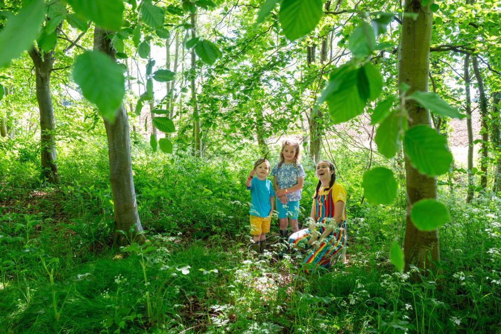 Kids playing in woodland